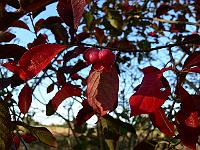 2008-10-23_08-59-13_0133
