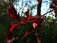 2008-10-23_08-59-43_0141