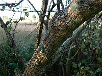 2008-10-23_09-00-32_0145