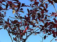2008-10-23_09-01-53_0160