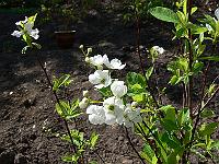 07-05-2008_20-49-14_02