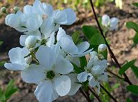 2008-05-09_06-35-49_0064
