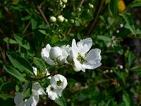 2010-05-20_15-52-04_0291
