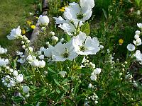 2010-05-20_15-52-32_0294