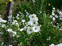 2010-05-20_15-52-44_0297