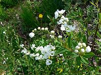 2010-05-20_15-53-00_0303