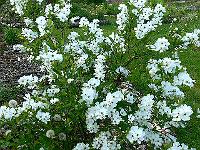 2010-05-27_15-43-00_0003
