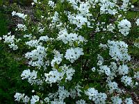 2010-05-27_15-43-08_0004