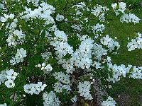 2010-05-27_15-43-25_0007