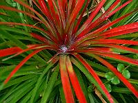 2010-08-17_09-44-40_0160