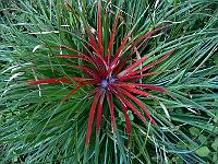 2010-08-19_09-59-40_0138