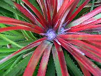 2010-08-19_09-59-52_0140