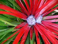 2010-09-06_08-48-41_0008