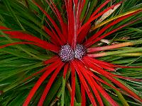2010-09-20_15-40-26_0148