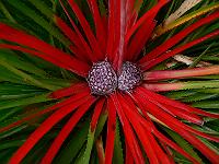 2010-09-20_15-40-43_0154
