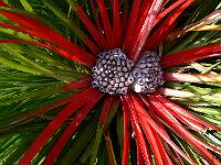 2010-10-04_12-24-35_0048