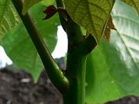 2008-09-06_08-15-57_0222