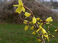 2010-04-06_07-55-31_0067