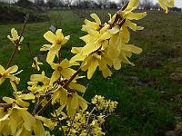 2010-04-13_07-21-11_0017