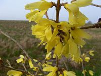 2010-04-13_07-21-45_0022