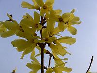 2010-04-13_07-22-35_0033