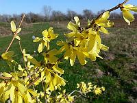 2010-04-13_16-25-18_0052