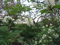 img_0649