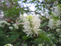 img_0650