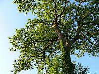2008-05-22_04-57-39_0181