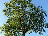 2008-05-22_04-57-39_0188