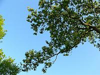 2008-05-22_04-57-39_0204