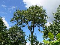 2008-06-05_07-58-44_0001_(152)
