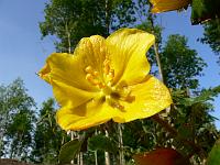 2008-05-29_07-12-06_0063