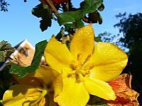 2008-06-04_18-34-06_0051
