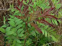 2010-07-25_09-39-43_0043