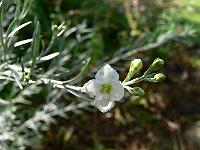 2010-08-13_09-19-05_0021