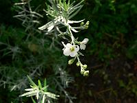 2010-08-20_08-37-25_0008