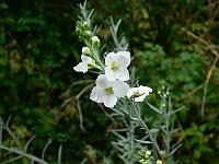 2010-09-12_09-26-28_0003