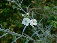 2010-09-13_17-23-25_0050