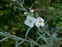 2010-09-13_17-23-37_0052