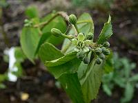 2010-08-22_11-25-49_0035