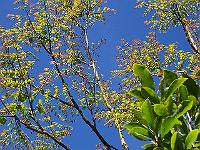 18-06-05kodak_221