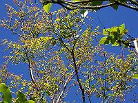 18-06-05kodak_222