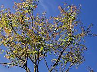 18-06-05kodak_225