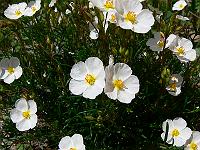 2010-05-20_11-52-49_0109