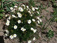 2010-05-20_11-53-17_0115