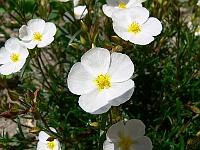 2010-05-20_12-22-01_0151