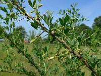 2010-07-02_09-53-09_0076