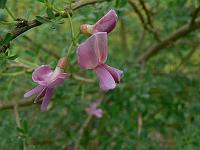 2010-07-08_08-28-53_0026