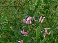 2010-07-08_08-29-25_0031